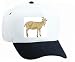 White Cap with male, domestic, goat, billygoat, barnyard, billy, livestock, beard, animal, horns, get