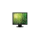 NEC AccuSync AS191-BK 19-Inch LCD Monitor - Black