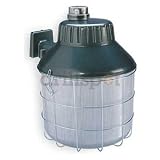 LumaPro 2LBL5 Security/Area Lighting, HPS, Watts 150