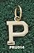 Princeton Univ Polished P 3/8 Charm/Pendant -14K/10K, Stainless Steel or Gold Plated