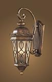 Elk Lighting Burlington Junction Outdoor Sconce