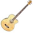 Michael Kelly Dragonfly 4-String Acoustic-Electric Bass, Transparent Black
