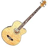 Acoustic Bass Guitars
