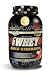 100% Whey Protein - Gold Standard Double Rich Chocolate 2 lbs