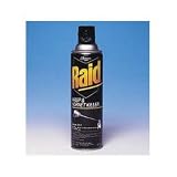 Raid  Wasp & Hornet Killer, 14 Ounce (94898JD)