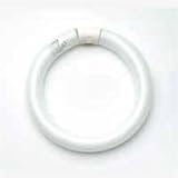 Electronics : GX Optical MAGLAMPT922W 22W Lamp for MAG8064 Iluminated Articulated Magnifier