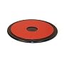 Garmin Dashboard Disk