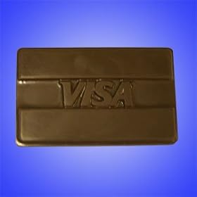 Credit Card (Visa)