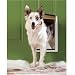 Kitchen & Housewares : Extreme Pet Door Large