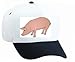 White Cap with gylta, domestic, swine, barnyard, pig, boar, livestock, sow, animal