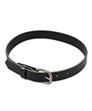 Cookie's Brand Classic Belt (Sizes 19 - 36)