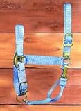 Hamilton Deluxe 1 Nylon Horse Halter with Adjustable Chin and Throat Snap, Berry, Yearling/Standard Donkey (300-500 lbs)