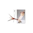 The Da Bird Value Pack (Includes 1 Da Bird Original Single 3 Foot Pole Cat Toy & 2 Replacement Feathers)