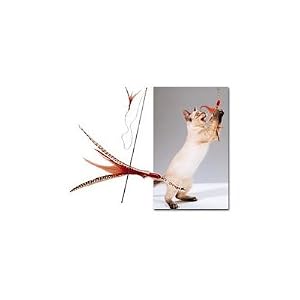 The Da Bird Value Pack (Includes 1 Da Bird Original Single 3 Foot Pole Cat Toy & 2 Replacement Feathers)