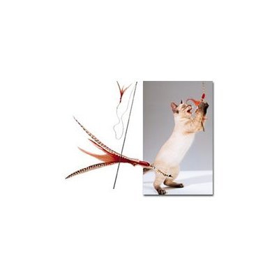 The Da Bird Value Pack (Includes 1 Da Bird Original Single 3 Foot Pole Cat Toy & 2 Replacement Feathers)