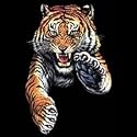 Tiger Adult T-Shirt