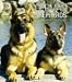 German Shepherds 2010 Hardcover Engagement Calendar