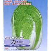 力[白菜]【タネ】小袋