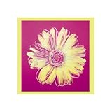 Daisy, c.1982 (fuschia and yellow), Art Poster by Warhol