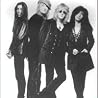 Image of Enuff Z'Nuff