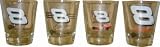 Dale Earnhardt Jr. Nascar Shot Glasses