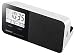 Sony ICFC705 AM/FM Clock Radio (White)
