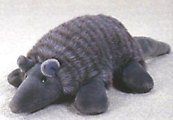 31QMH7YB1WL Stuffed Artie Armadillo 11