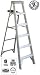 6' ALU 1A Step Ladder