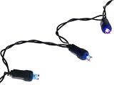 Bethlehem Lighting 20-Lamp 5mm Wide-Angle LED Battery-Operated Lighting Set, Blue