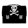 PIRATE DOME LUNCHBOX
