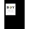 2008 NYPL Books for the Teen Age - The A-List: Adult Novels for Teens