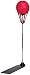 Recherche :Punching-ball (Includes 
Réglé Gloves) ;