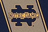 Notre Dame Fighting Irish ND 2' 8 x 3' 10 Team Spirit Area Rug