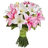 Lilies - Upper Crest