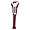 Wisconsin Badgers