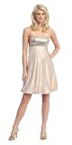 SexyStraplessPartyPromCocktailDress