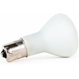 Camco 54823 1383 Auto/RV Replacement Reading Light Bulb