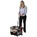 Classroom Cart and Organizer Set