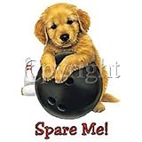 Spare Me Golden Retriever Adult Sweatshirt