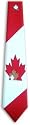 American Flag Patriotic Neck Tie