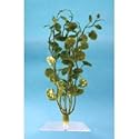 Tetra 19103 Water Wonders Fresh Water Plant Cardamine, 6-Inch
