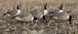 GHG Hunter Series Honker Goose Decoys