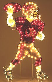 Florida State Seminoles 44