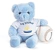 Big brother blue bear