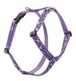 Lupine Large Dog Harness - Surf Pup 24-38