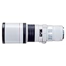 Canon EF 400mm f/5.6L USM Super Telephoto Lens for Canon SLR Cameras