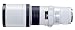 Canon EF 400mm f/5.6L USM Super Telephoto Lens for Canon SLR Cameras