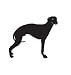 Hound Dog Pet Whippet Car Truck Vehicle Bumper Helmet Decal Sticker Wall Art Laptop Design Skin Stickers