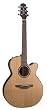 Takamine ETN40C Acoustic Electric NEX Guitar Natural With Case Takamine ETN40C Acoustic Electric NEX Guitar Natural With Case