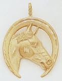 Horse & Horseshoe Charm with CZs -M717